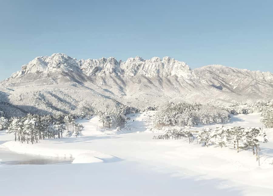 From Seoul: Seoraksan National Park and Nami Island Day Trip - Starting from Seoul and reaching Gangwon Province