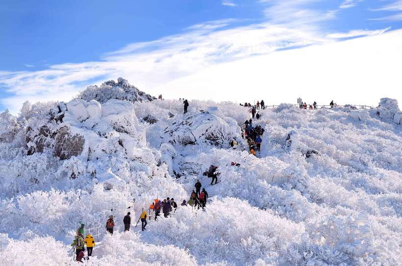 From Seoul: Snow-Capped Beauty of Deogyusan National Park - Key things to know before you book