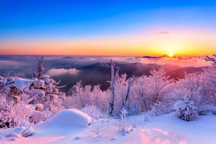 From Seoul: Snow-Capped Beauty of Deogyusan National Park - Cheonan Service Area and Korea’s highway food culture