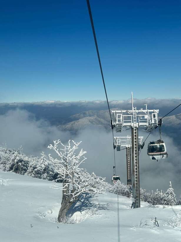 From Seoul: Snow-Capped Beauty of Deogyusan National Park - Who should book this winter outing