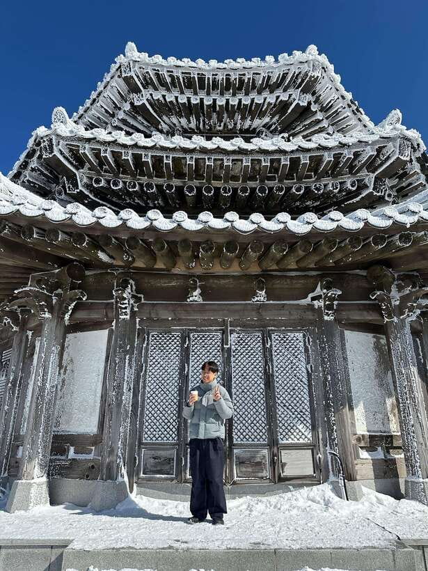 From Seoul: Snow-Capped Beauty of Deogyusan National Park - Meeting at Mapo Station