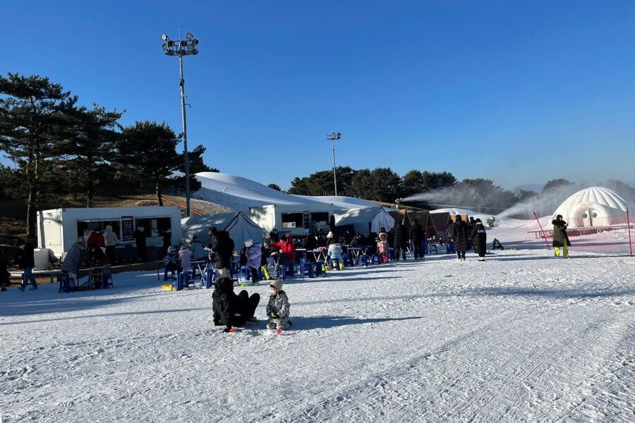 From Seoul: Snowy Land, Alpaca World, and Strawberry Picking - Five things to know before booking