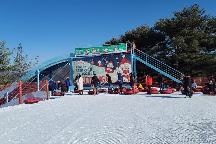 From Seoul: Snowy Land, Alpaca World, and Strawberry Picking - Who will enjoy this most?