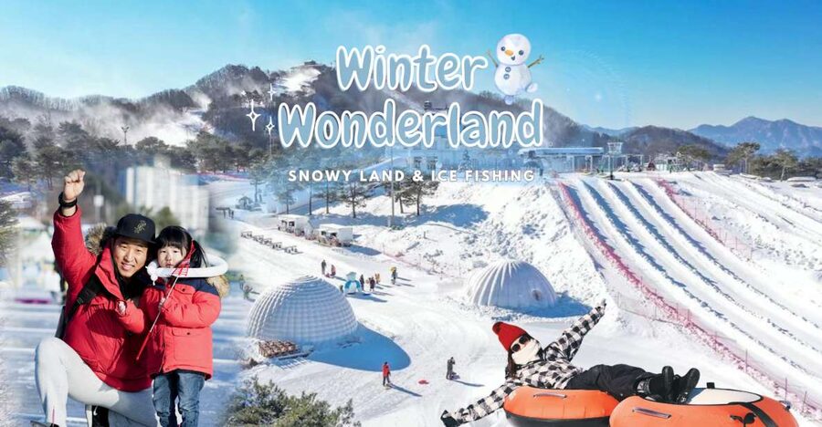 From Seoul: Snowy Land, Alpaca World, and Strawberry Picking - The Hwacheon Sancheoneo Festival question
