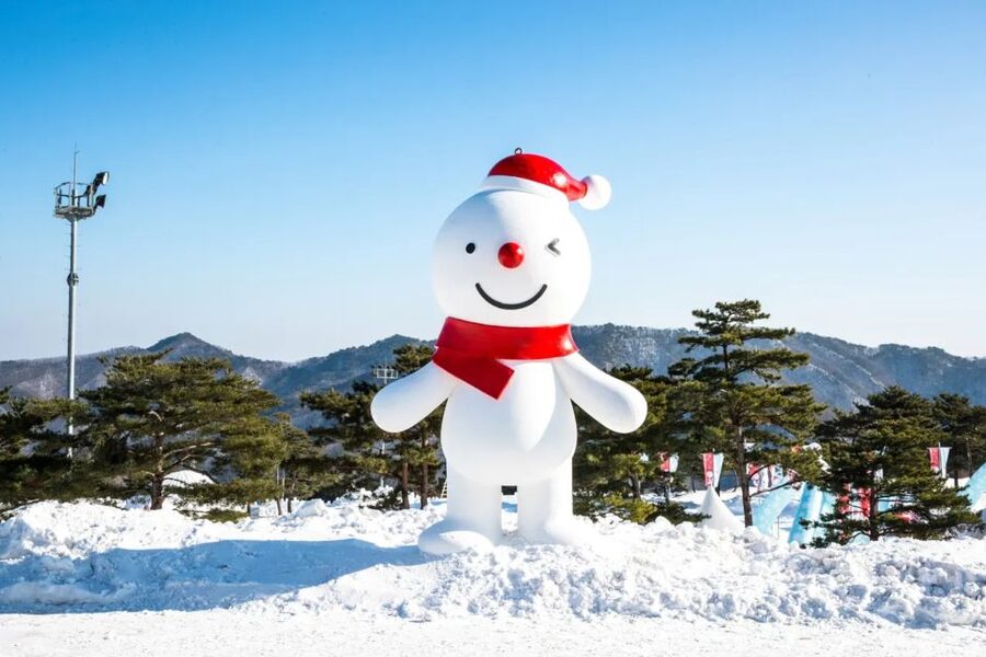 From Seoul: Snowy Land, Alpaca World, and Strawberry Picking - Is $79 a fair price?