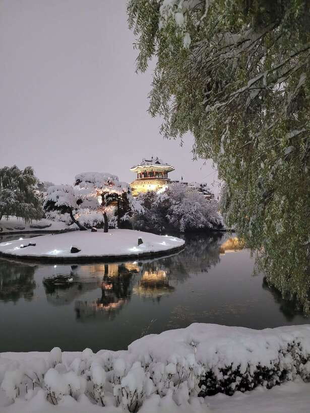 From Seoul: Suwon Hwaseong Fortress Night Tour - Key points before you book