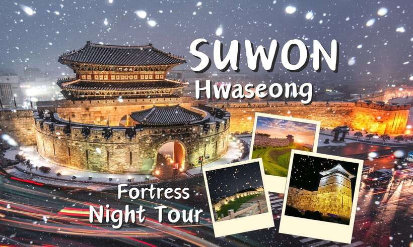 From Seoul: Suwon Hwaseong Fortress Night Tour - Understanding the Joseon story before the walk