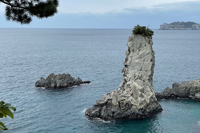 Full Day 12 hours whole Jeju Island private flexible tour - Guide Support From John or Ken