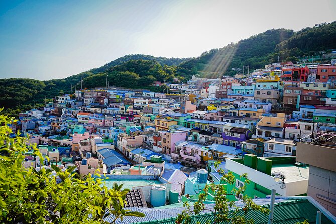 Full Day Busan and Gyeongju Guided Tour - Daereungwon and the burial mounds of Gyeongju