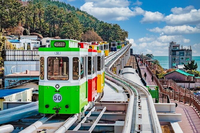 Full-Day Busan Highlights Private Guided Tour - A 9:30 a.m. start and a full Busan circuit