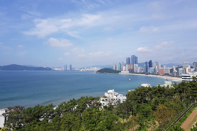 Full Day Busan Tour Including Haedong Yonggungsa Temple - Key details at a glance