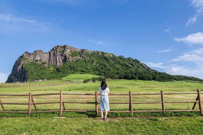 Full-day Customizable Private Jeju Island Tour - Key points to know before booking