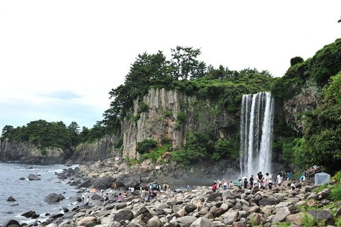 Full-day Customizable Private Jeju Island Tour - Starting at Mysterious Road, where the car seems to roll uphill