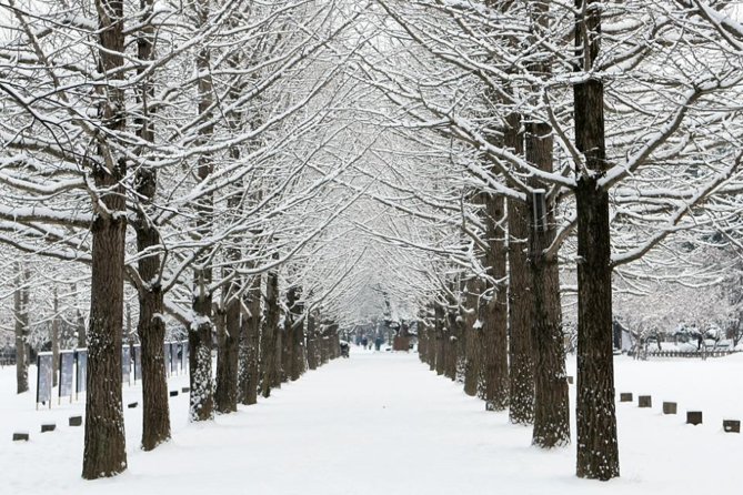 Full-Day Customizable Private Tour to Nami Island and surrounding Area - Gangchon Rail Park for a hands-on hour and a half