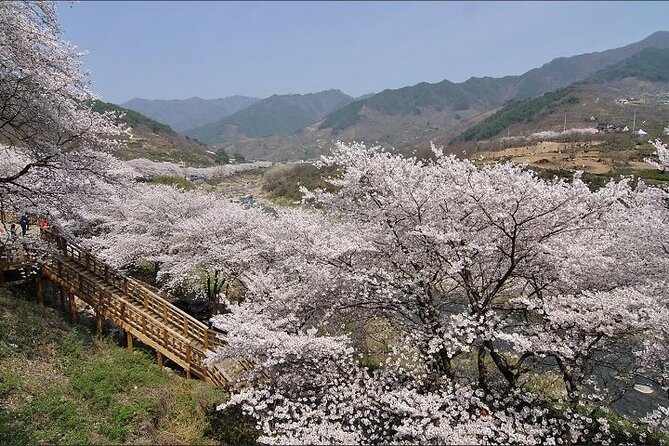 Full-day Hadong, Gwangyang, Cherry blossom, Green Tea Fields Private Tour - Gwangyang bulgogi after a full day outdoors