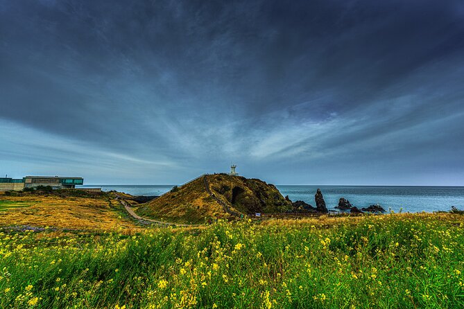Full-Day Jeju Island UNESCO Tour for Cruise Layover Guests - Why this tour works for a cruise stop