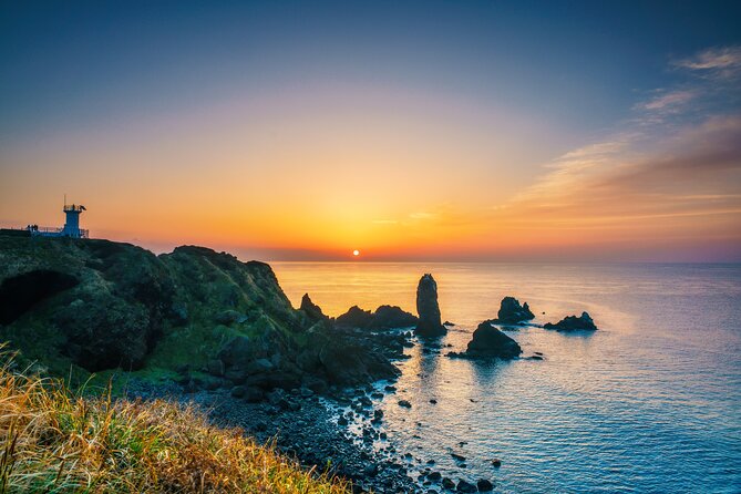 Full-Day Jeju Island UNESCO Tour for Cruise Layover Guests - Is $62.29 good value?