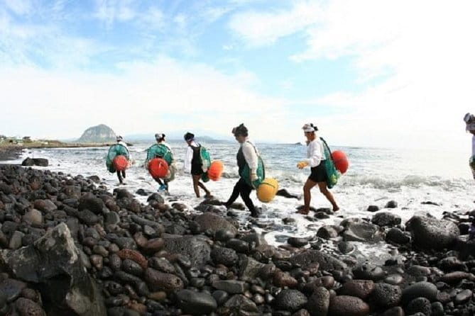 Full Day Jeju Private Customizable highlight Tour - Why a private eastern Jeju day works well