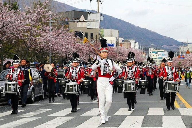 Full-Day Jinhae Cherry Blossom festival Private tour - The Naval Academy during festival season