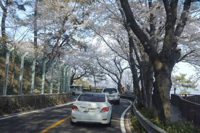 Full-Day Jinhae Cherry Blossom festival Private tour - How the private vehicle changes the day