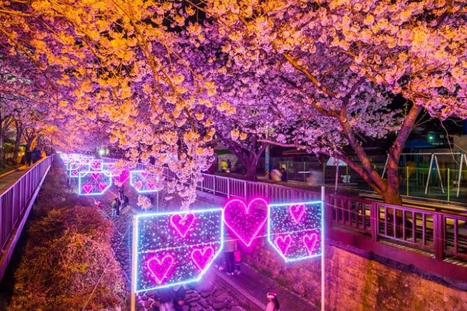 Full-Day Jinhae Cherry Blossom festival Private tour - Gyeonghwa Station: the railway scene