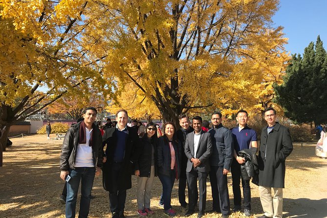 [ Full Day ] Nami Island & Petit France From Seoul - Weather, Traffic, and Other Practical Points