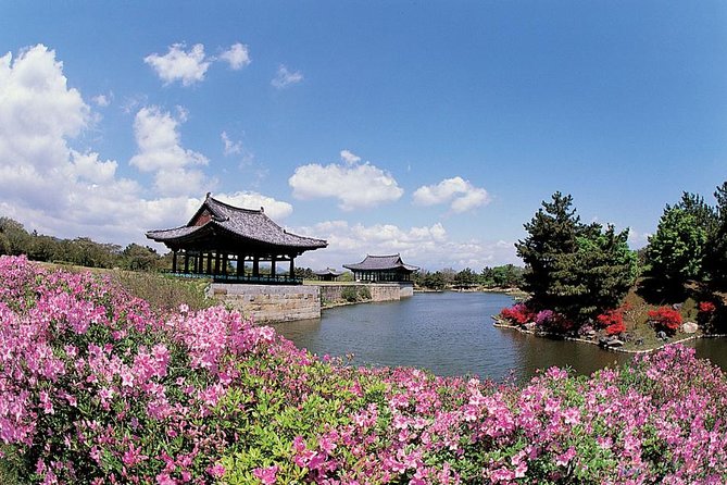 Full day Private Gyeongju UNESCO Heritage Tour : a glimpse into Silla - Daereungwon turns royal power into grassy mounds