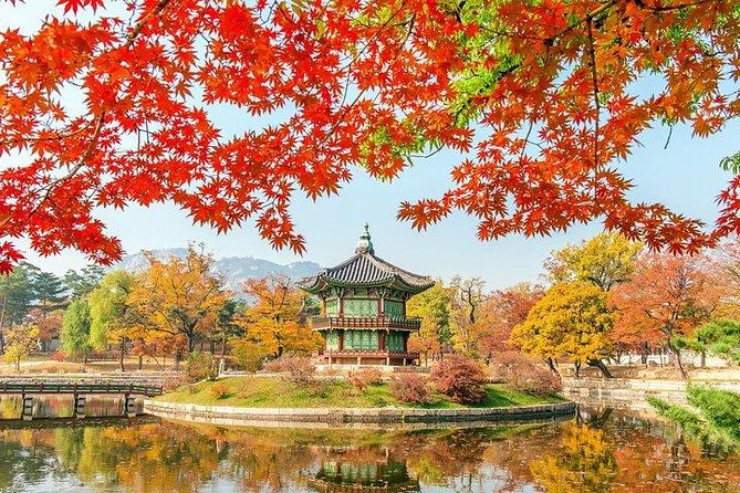 Full Day Private Seoul Tour for foodies - Nami Island is a scenic change of pace