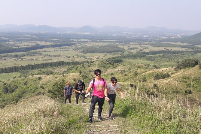 Full-Day Private Taxi Tour South of Jeju Island - Dokkaebi Road starts the day with a harmless trick