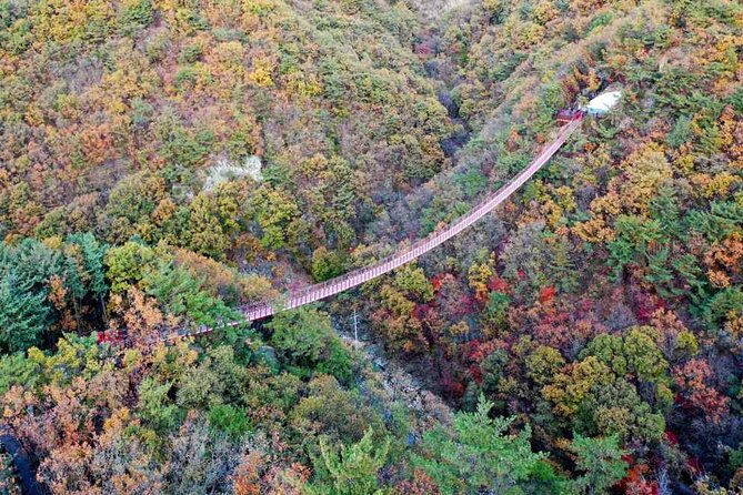 Full Day Private Tour DMZ (The 3rd Tunnel) & Suspension Bridge - Tongilchon Village and local products