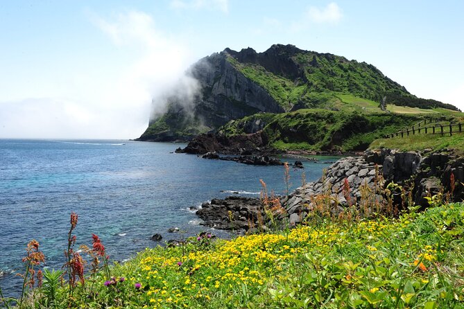 Full-Day Private Tour in Jeju Scenic East Coast - Why this private Jeju day works