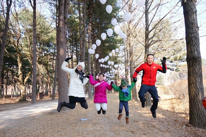 Full Day Private Tour in Nami Island - Optional stops can change the shape of your day
