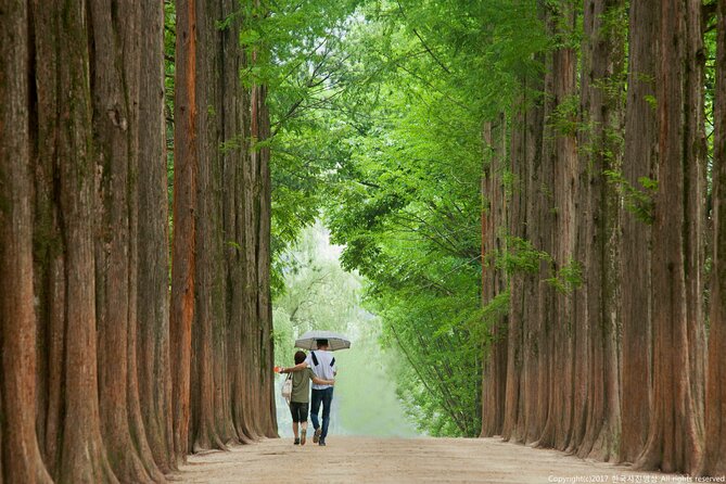 Full Day Private Tour Nami Island, Garden & Petite France - Petite France and Korea’s French storybook