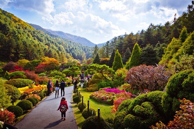 Full Day Private Tour Nami Island, Garden & Petite France - Pinocchio and Da Vinci Italian Village