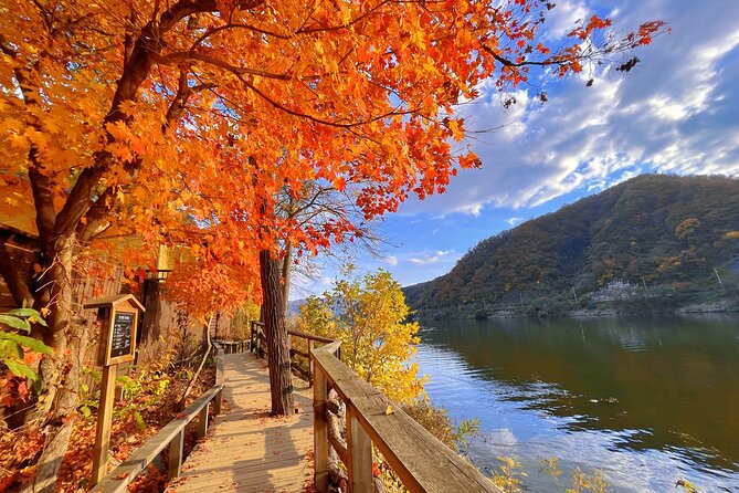 Full Day Private Tour Nami Island, Garden & Petite France - Who will enjoy this route most