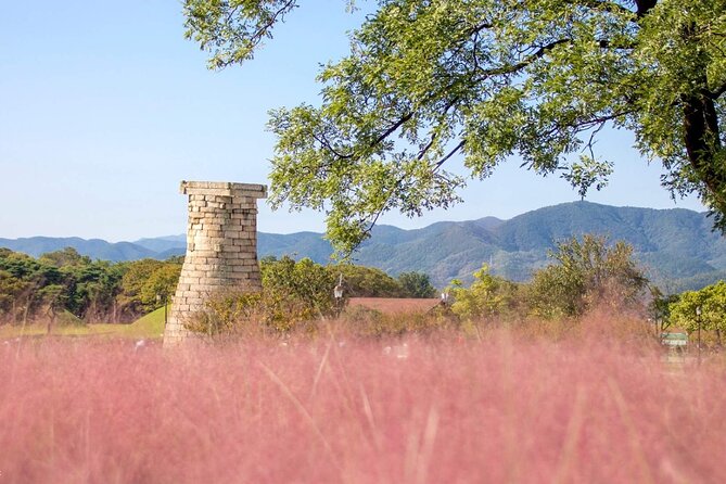 Full-Day Small Group GyeongJu History Tour from Seoul - Is $237 good value for this day?
