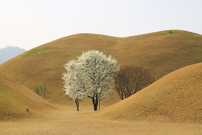 Full-Day Small Group GyeongJu History Tour from Seoul - How the guide affects the experience