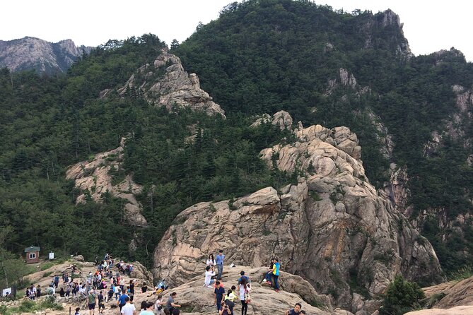 Full-Day Tour in Mt. Seorak & Nami (+Rail Bike Option) - Why this Seoul day trip works