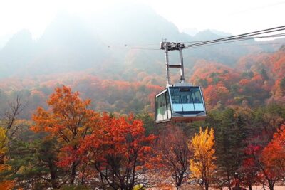 Full-Day Tour in Mt. Seorak & Nami (+Rail Bike Option)