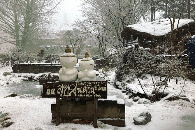 Full-Day Tour in Mt. Seorak & Nami (+Rail Bike Option) - Nami Island beyond the Winter Sonata label