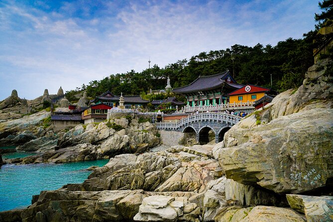 Full-Day Tour Unmissable things to do in Busan - Why this Busan day tour can be worth $38