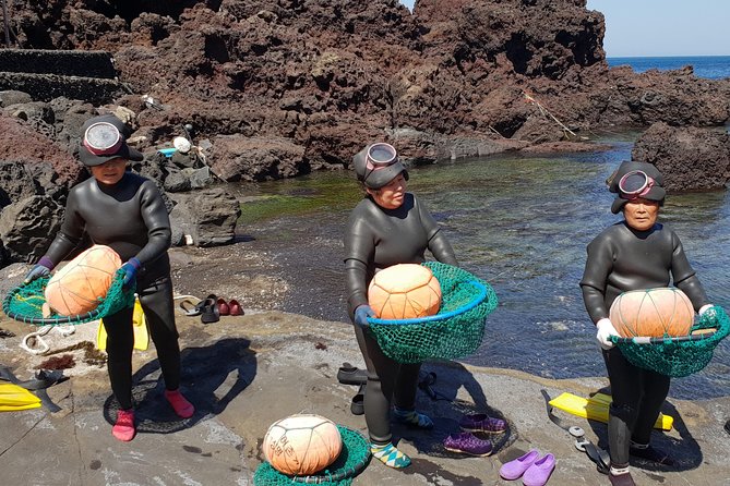 Fully Customizable Private Tour of Jeju Island - Trails, horseback riding, cafés, and tangerine picking