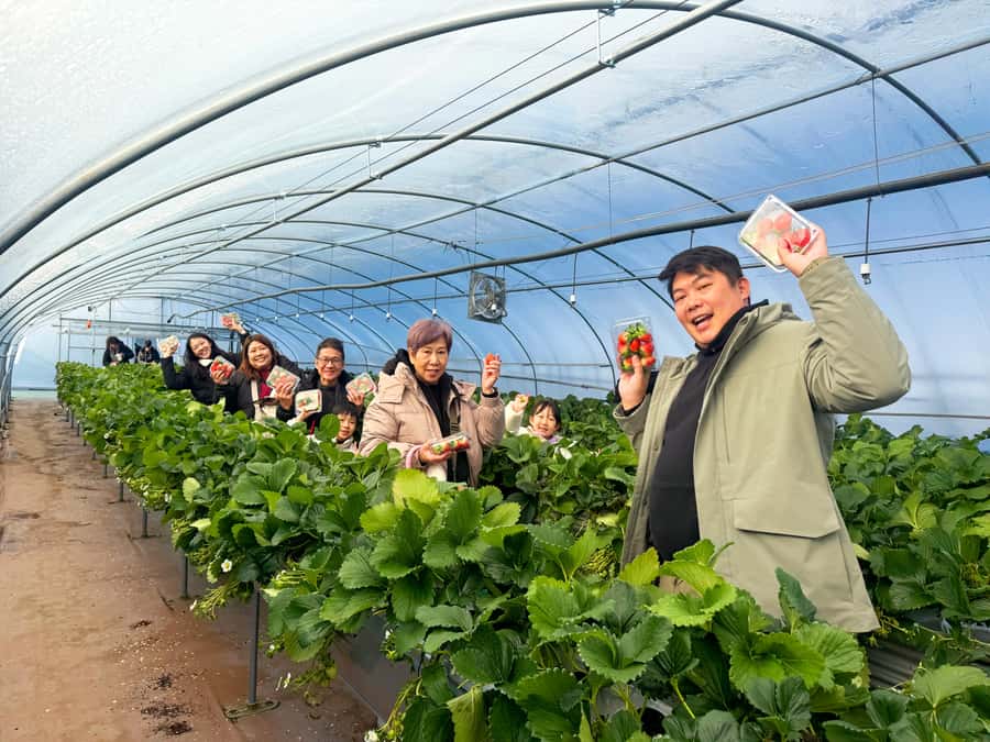 Gamaksan & IceWall Cafe & Eunpyeong HanokVillage & Jingwansa - Key points at a glance