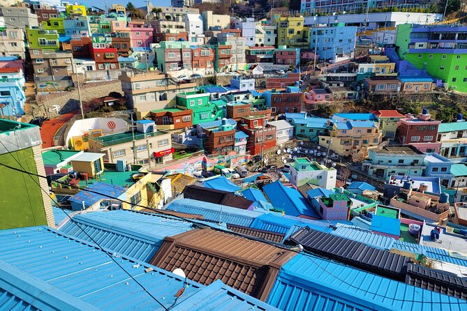 Gamcheon Culture Village, Jagalchi fish market story telling Tour - Who should book this Busan tour?