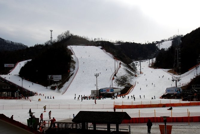 Gangchon Elysian Ski Day Trip from Seoul - The return to Myeongdong