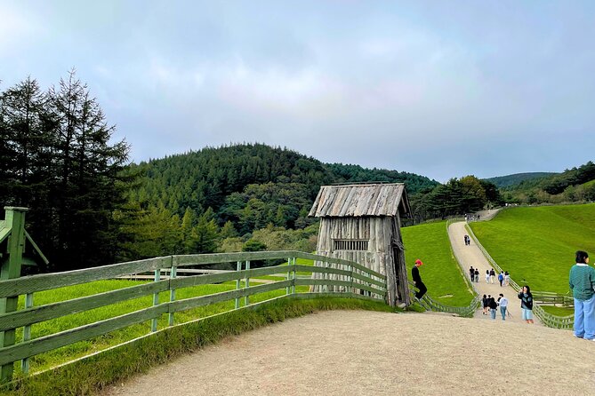 Gangneung Sightseeing Day Tour - Lunch, transport, and the rhythm of the day