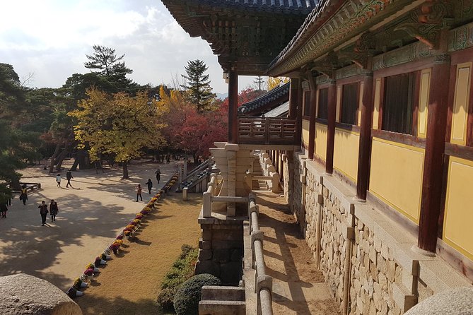Gyeongju city tour From BUSAN - UNESCO World Heritage Site - Wolseong Fortress and the former royal center