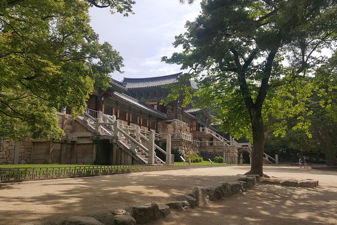 Gyeongju city tour From BUSAN - UNESCO World Heritage Site - Daereungwon Tomb Complex and the Silla royal dead