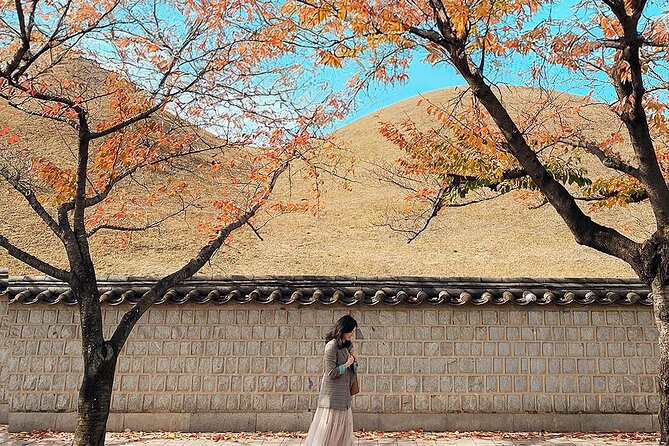 Gyeongju One-Day Tour from Daegu - Transport, group size, and the day’s rhythm