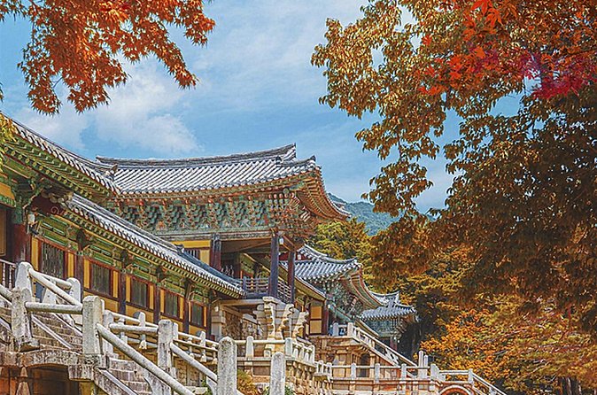 Gyeongju One-Day Tour from Daegu(Drop-off Busan) - Two hours on Hwangridan-gil